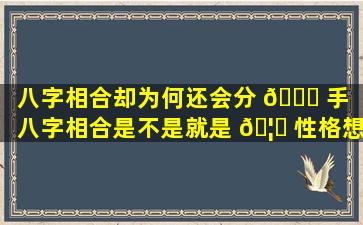 八字相合却为何还会分 🐞 手（八字相合是不是就是 🦄 性格想和）